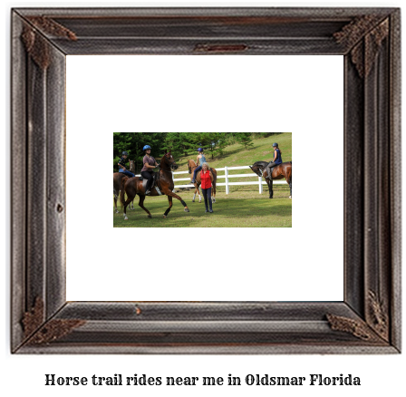 horse trail rides near me in Oldsmar, Florida